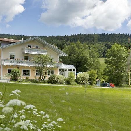 Landgasthof Zum Hirschenstein, Pension Garni Sankt Englmar Exterior foto